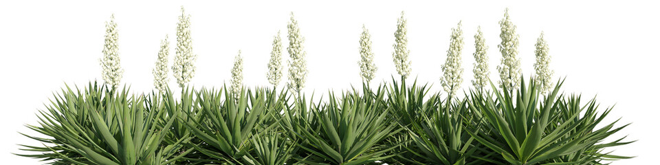 3d rendering of close-up shrubs, colorful plants, cut-out, for digital composition, illustration, architecture visualization