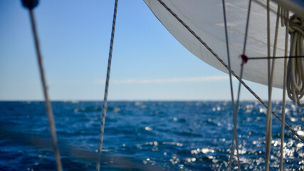 sailing in the sea