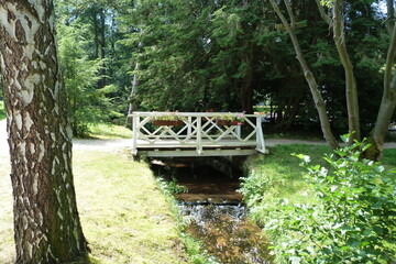 Fototapeta na wymiar Brücke über Bach im Kurpark Bad Brambach