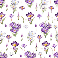 Watercolor crocus, spring seamless pattern, watercolor illustration, background.