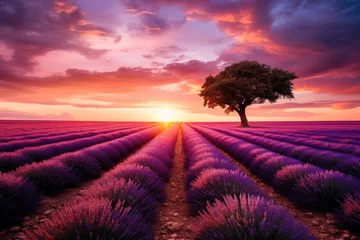 Fotobehang Lonely tree in lavender field at sunset, 3d render, Stunning lavender field landscape at summer sunset with a single tree, AI Generated © Ifti Digital