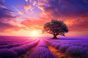 Fototapeten Lavender field at sunset with lonely tree. 3d render, Stunning lavender field landscape at summer sunset with a single tree, AI Generated © Ifti Digital