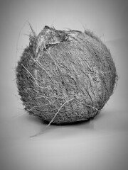 close up photo of coconut without skin on black and white background