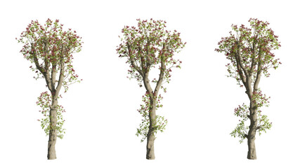 Obraz premium set of colorful trees, 3d rendering with transparent background, cut-outs, for illustration, digital composition, architecture visualization