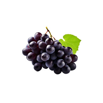 Black grape cluster isolated on transparent background png