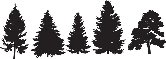 Conifer set.  Hand drawn vector illustration