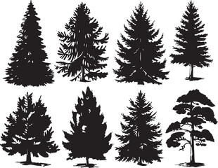 Conifer set.  Hand drawn vector illustration