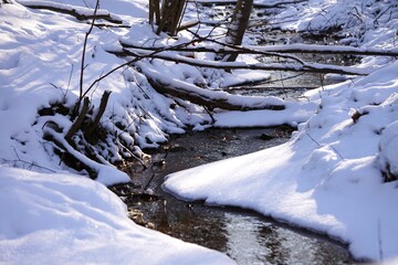 Leśny strumyk. Woda płynie krętym strumieniem w otoczeniu śniegu. Panorama na leśny strumień i zaśnieżone kłody drewna. - obrazy, fototapety, plakaty