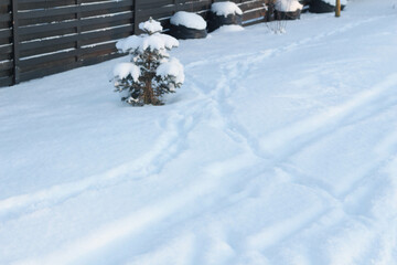 Car tire tracks on snow, tire tracks on snow in winter, stock photo
