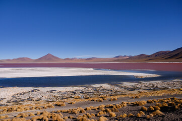 Lagoon Colorada, Bolivia
