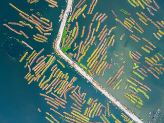 Aerial view of Eco friendly jute processing field in natore, Bangladesh. 