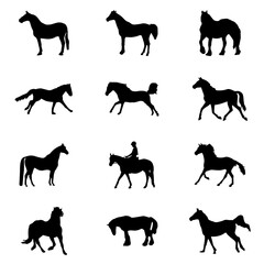 Set of horse silhouette animal set isolated on white background. Black horses graphic element vector illustration - obrazy, fototapety, plakaty