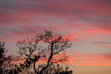 red sunset in the sky