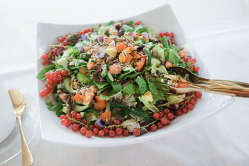 Salad with tomatoes, cucumbers, spinach and red currants