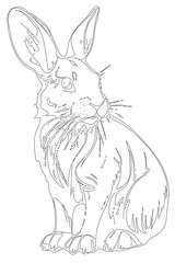 Obraz premium Hand drawn rabbit cute coloring book illustration. For the design of children's coloring books, cards, stickers, puzzles and so on