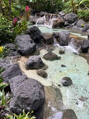 stream in the forest