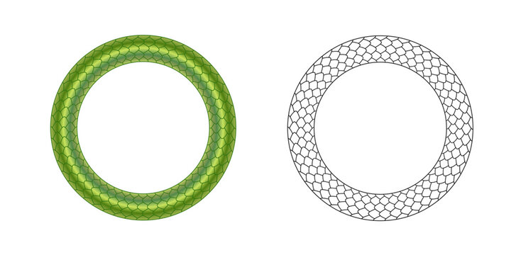 Round Frame Border With Snake Scales Pattern Vector Illustration Set