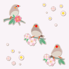 Bird stickers