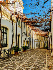 Jerez, Spain - December 30, 2023: Scenery and typical architecture in downtown Jerez, Spain  © Torval Mork