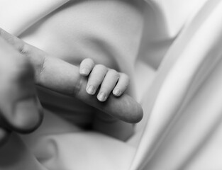 The hand of a newborn baby in the hands of the mother. Black and white photo.