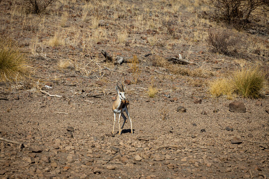 Namibia