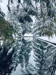 lake in winter