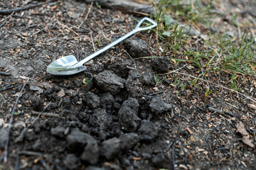 A metal shovel with a handle lies on the ground near pieces of earth. the earth dug with a shovel