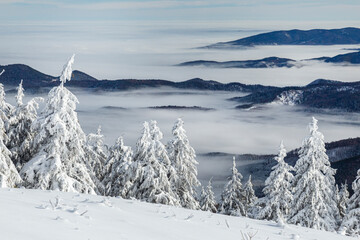 Carpathian mountain ridge above clouds level during freezing winter day