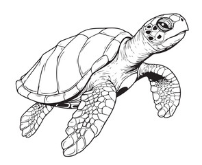 Fototapeta premium Sea turtle reptile sketch hand drawn in graphic Vector