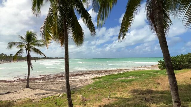 Beautiful Cuban beach in Varadero, Cuba. Ocean waves through the branches of a palm tree. A sprawling palm tree on the ocean shore. Turquoise waves on a sandy beach with snow-white sand. 4K Video