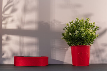 Panorama de fond d'un mur blanc avec un podium vide pour création d'arrière plan. Jeu d'ombre et de lumière du soleil à travers une fenêtre avec des branches d'oliviers.
