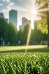 Green lawn with fresh grass with blurry background of a city park with tall buildings in the background on a bright sunny day. - obrazy, fototapety, plakaty