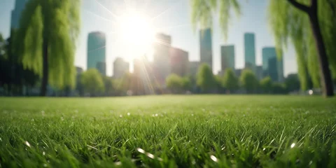 Poster Green lawn with fresh grass with blurry background of a city park with tall buildings in the background on a bright sunny day. © 360VP