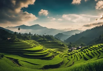 Papier Peint photo Rizières Panoramic landscape of Indonesian rice field terraces on a mountain ricefield terrace super wide ric