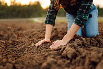 Farmer hands touching soil on the field. Expert hand of farmer checking soil health before growth a...