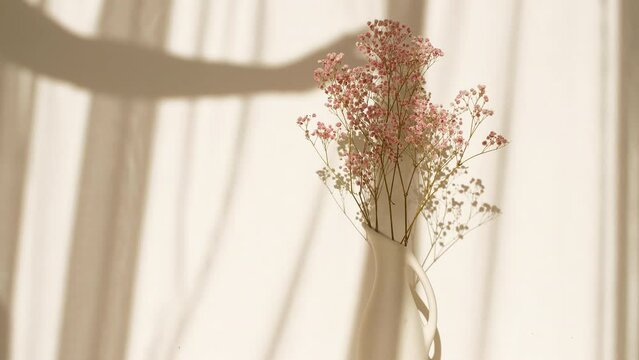 Light and shadows of girl's hands and waving white tulle near the window. Pink flowers in a vase. Transparent soft light and shadow on wall. Product presentation, advertising. High quality 4k footage