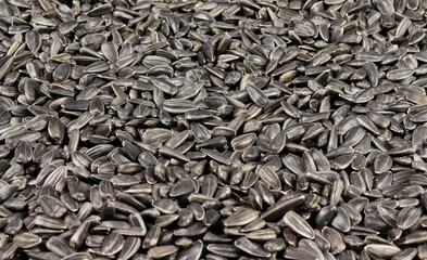 The side view of the frame is filled with sunflower seeds.