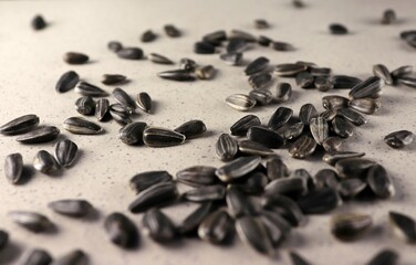 Sunflower seeds scattered on a plane, side view