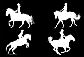 silueta, caballo, animal, vector, animal