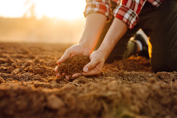 Male hands touching soil on the field. Expert hand of farmer checking soil health before growth a seed of vegetable or plant seedling. Concept of agriculture, business and ecology. © maxbelchenko