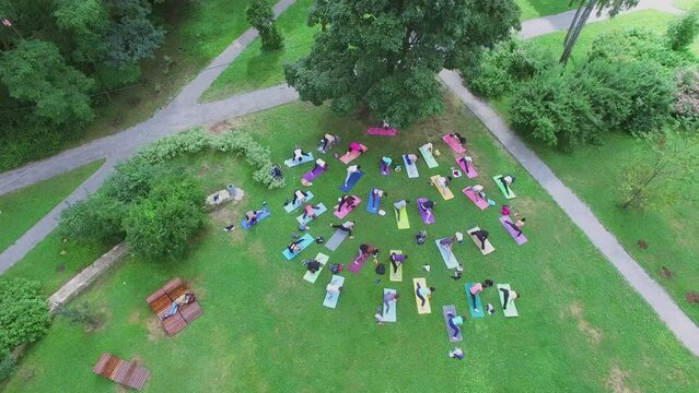 Many people do yoga training in park at summer day. Aerial view