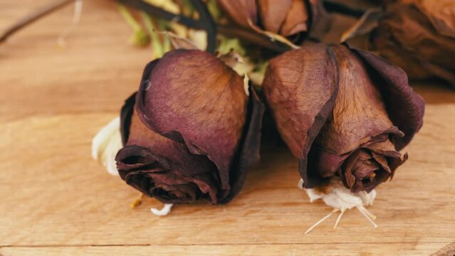 Close up, Bouquet of Dried Red Roses Slowly Rotates on a Wooden Background. Composition of dry flower buds, dead, withered flowers on spin turntable. Concept of love, Valentine's day, sadness, grief.