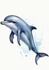 Watercolor Illustration Of A Cute Dolphin Illustration Isolated On White Background