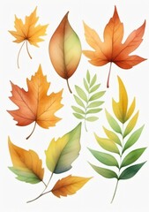 Watercolor Illustration Of Colorful Leaves Isolated On White Background