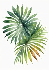 Watercolor Illustration Of Palm Tree Leaves Isolated On White Background