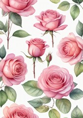 Watercolor Illustration Of A Set Of Watercolor Elements Of Pink Roses Isolated On White Background