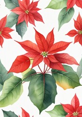 Watercolor Illustration Of A Poinsettia Plant Isolated On White Background