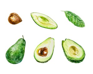Avocado set, whole fruit, pieces, leaf. Watercolor illustration isolated on white background. Food products, cosmetics, labels, covers, packaging.