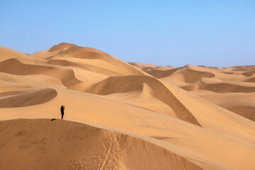 Fototapeta na wymiar Sand dunes of the Namib Desert and the Atlantic Ocean, Sandwich Harbor, Namib Naukluft Park, Namibia, Africa