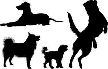 animal, vector, silueta, perros